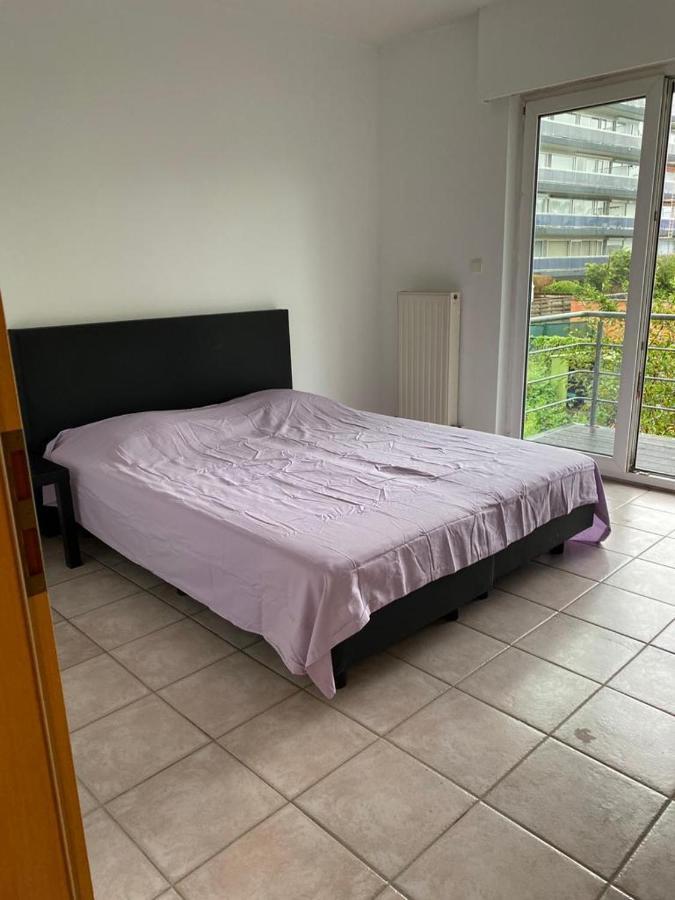 Superbe Appartement Lumineux Et Spacieux Antwerpen Eksteriør bilde